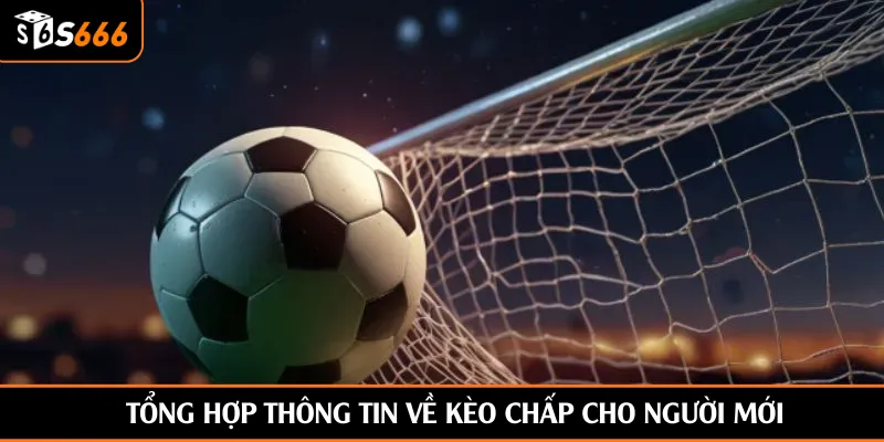 Tổng hợp thông tin về kèo chấp cho người mới